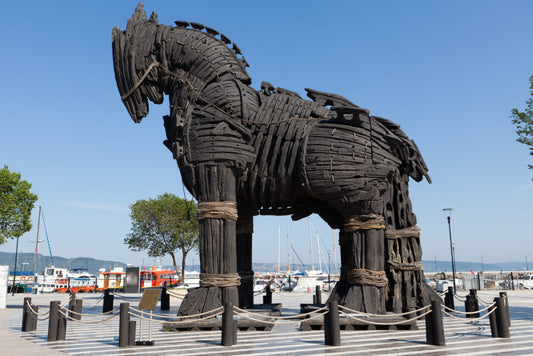 DNA Trojan Horse Tricks Cancer Cells into Consuming Drugs