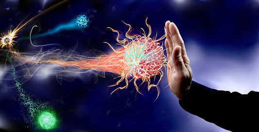 Study Finds that Fasting for 72 Hours Can Regenerate the Entire Immune System